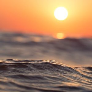 Meet your Posher, Lester